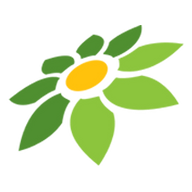 TOKOPEDIA WEB MOBILE